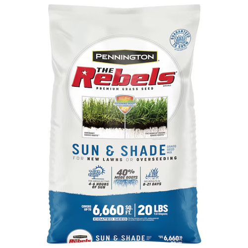 Pennington the rebels sun - pennington,