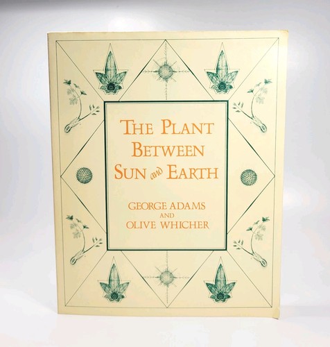 The plant between - the,