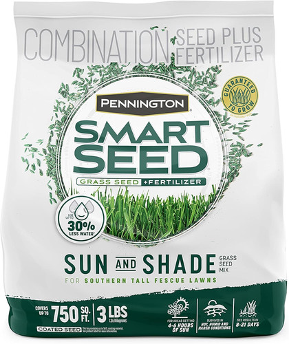 Smart seed sun and - seed,