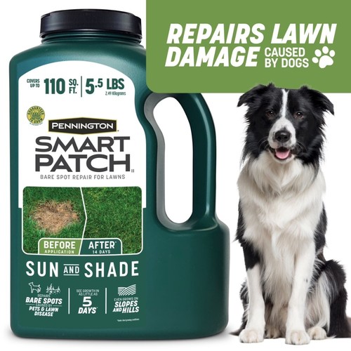 Sun and shade grass - and,